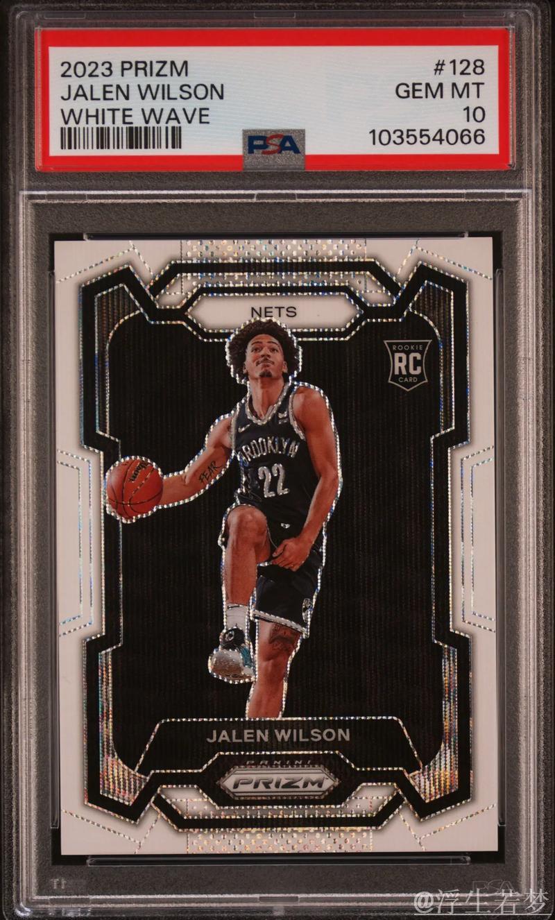 威尔逊砍下20分7篮板 篮网力克奇才